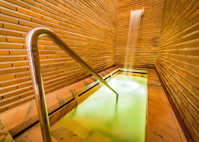 波尔图圣托水疗酒店 酒店 圣港