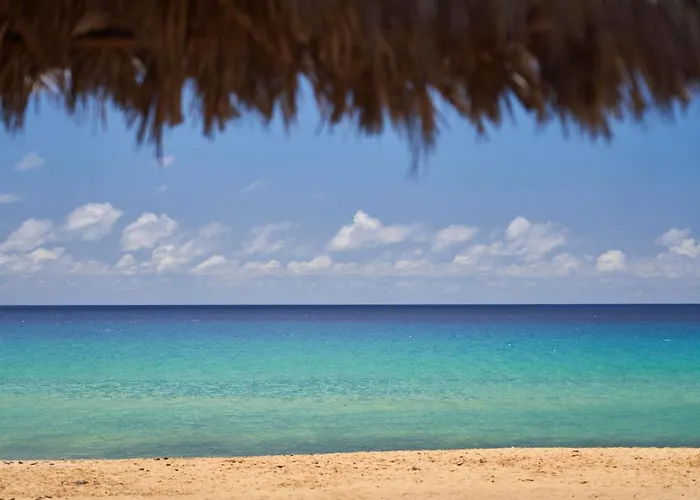 波尔图圣托水疗酒店 酒店 4*